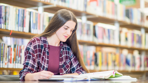 Achetez un livre de grammaire néerlandaise pour apprendre le néerlandais